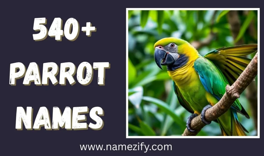 540+ Parrot Names